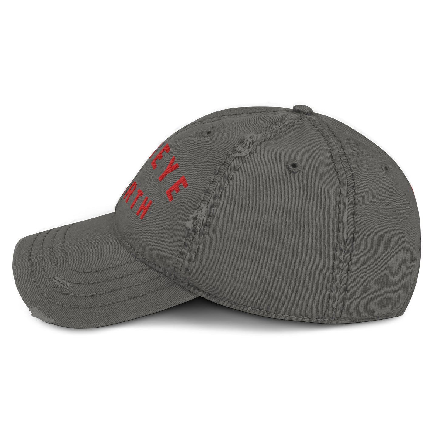 BUCKEYE BY BIRTH_OH STATE SHAPE (back)Distressed Dad Hat