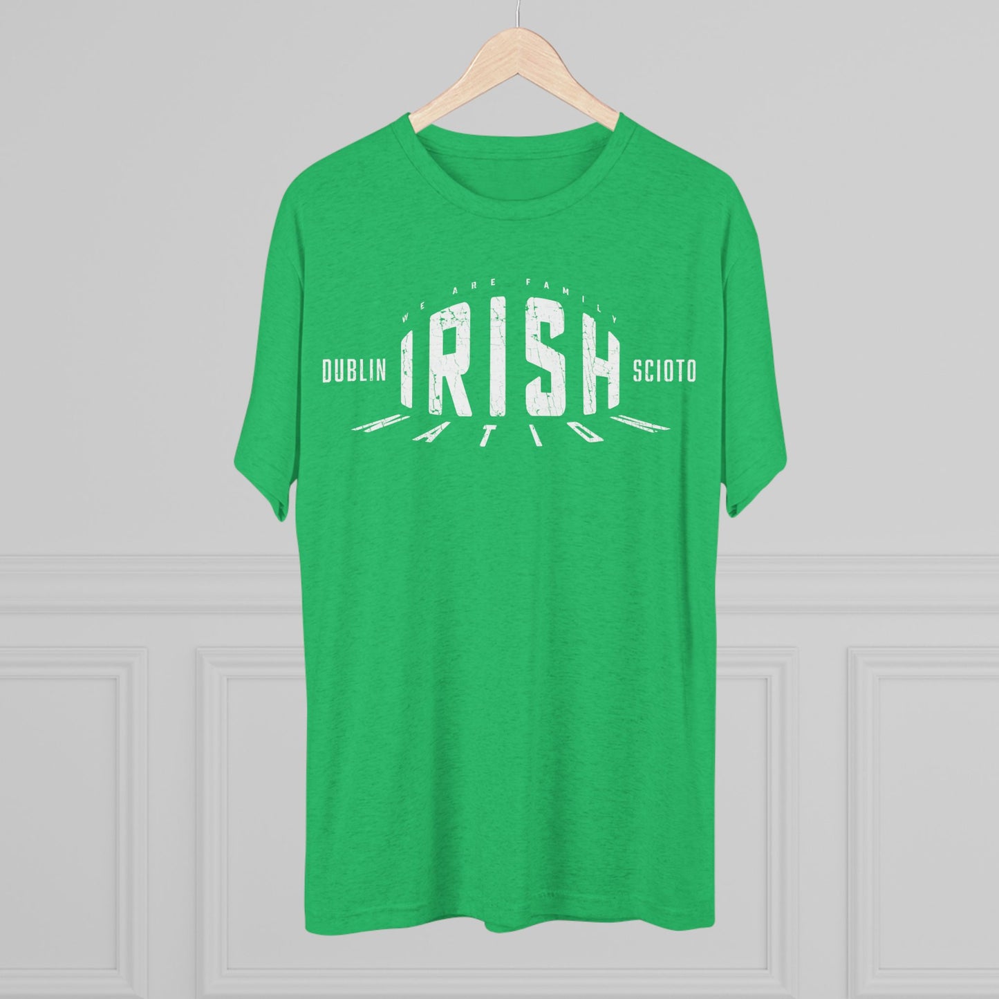 IRISH NATION_WE ARE FAMILY_DUBLIN SCIOTO-Unisex Tri-Blend Crew Tee